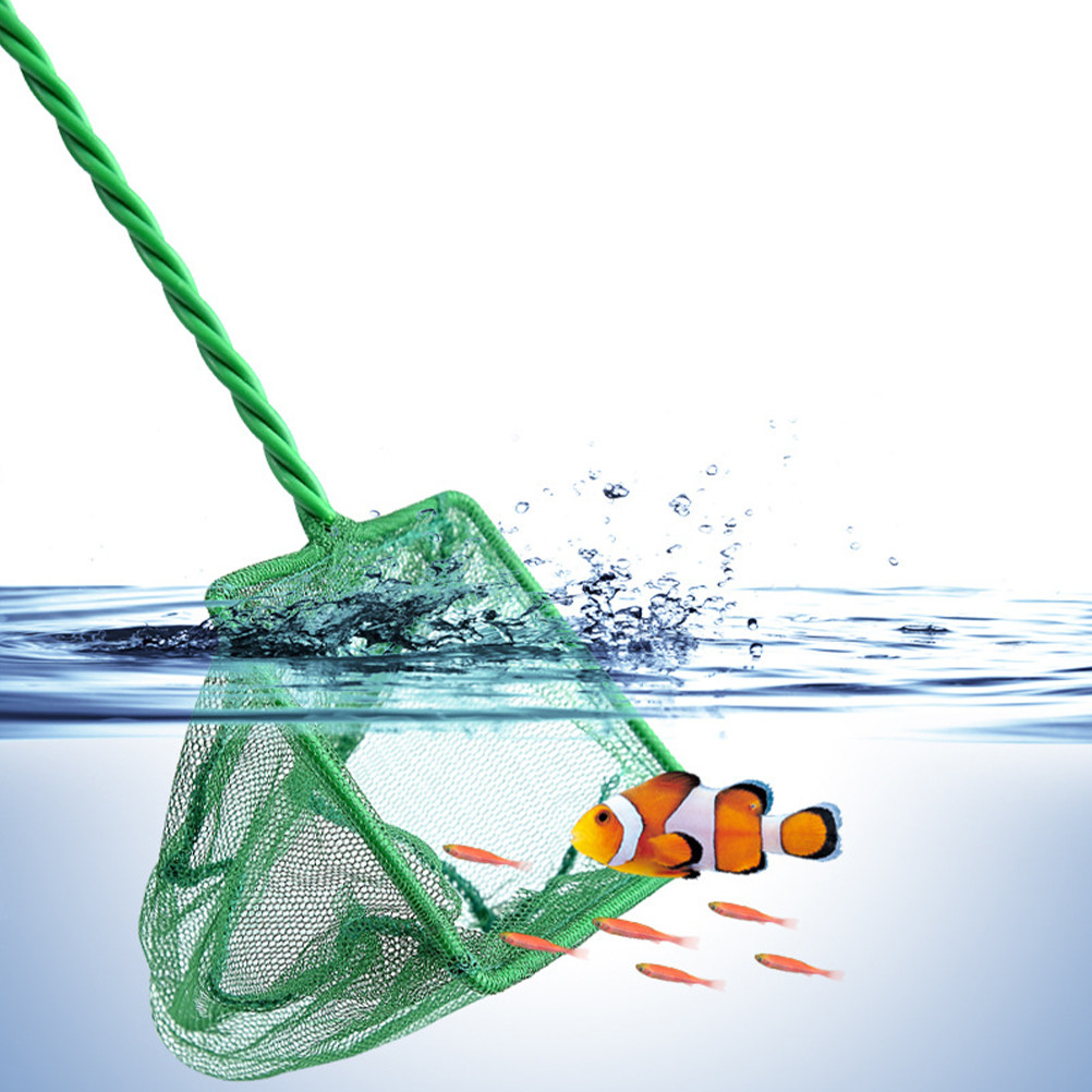 قطعتان من شبكة صيد الأسماك الم - مراجعة Aquarium Fishland وسعره