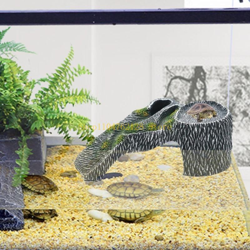 مرابي حيوانات منصة تشمس، أحواض - مراجعة Aquarium Fish For Sale وسعره