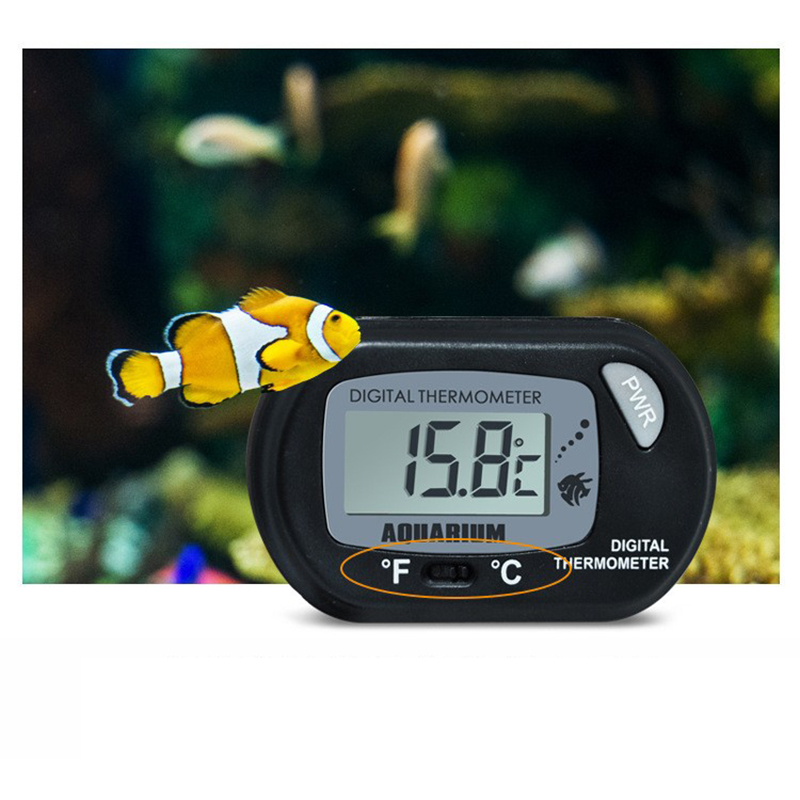 1 قطعة 58*37 مللي متر خزان الأ - مراجعة Aquarium Fish Yellow وسعره