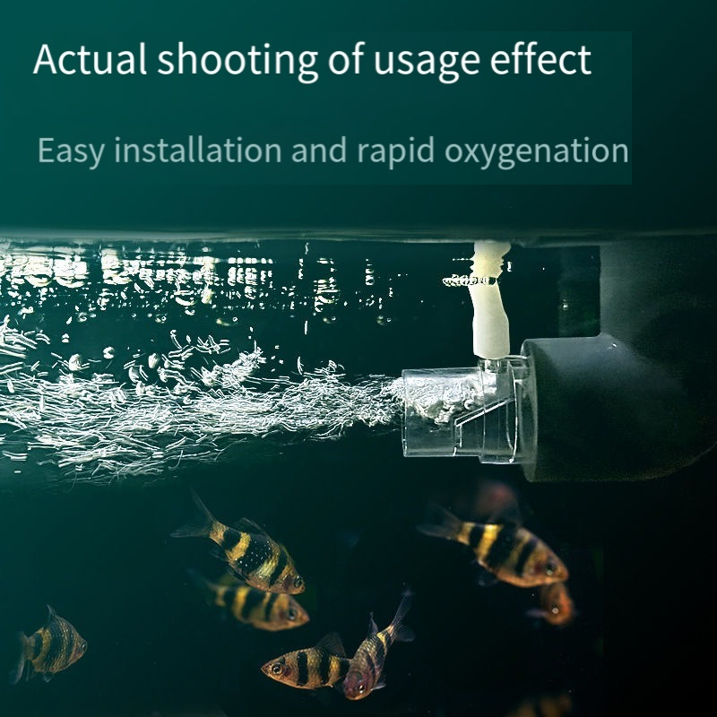 فلتر أنبوب ناشر الأكسجين في مخ - مراجعة Aquarium Fish Without Oxygen وسعره