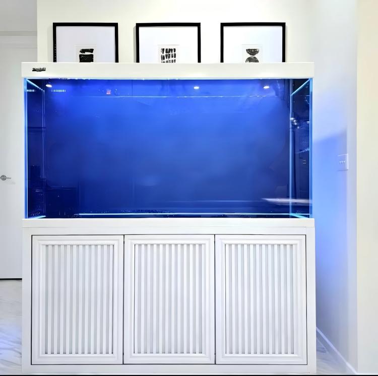 حوض سمك كبير الحجم، خزان أسماك - مراجعة Aquarium Fish Big وسعره