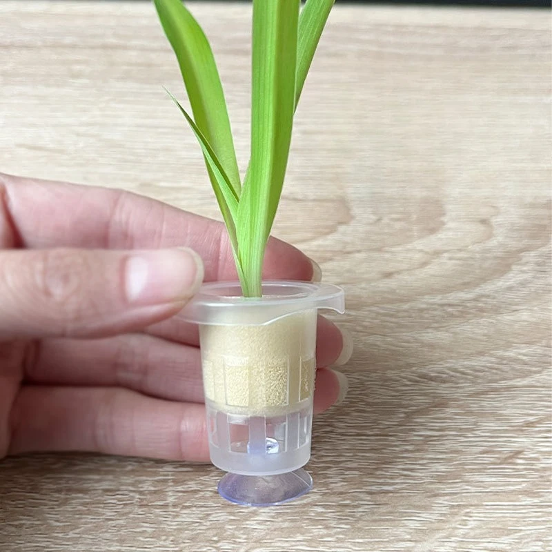 50 قطعة/10 قطعة حوض السمك سلة  - مراجعة Aquarium Fish Pot وسعره