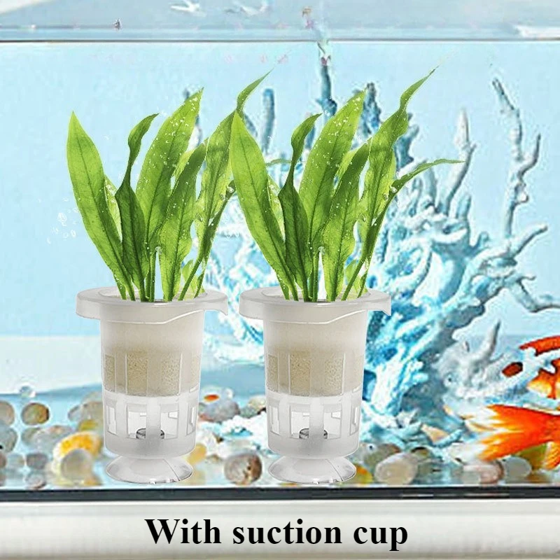 50 قطعة/10 قطعة حوض السمك سلة  - مراجعة Aquarium Fish Pot وسعره
